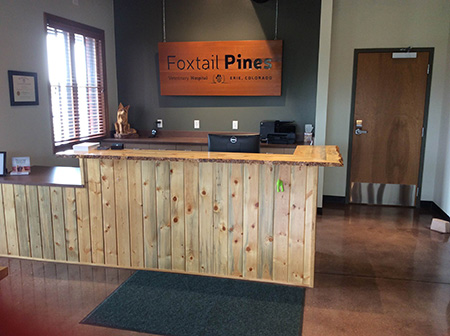 Foxtail Pines Veterinary Hospital Reception Area