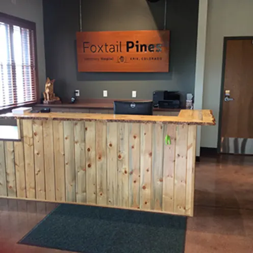Foxtail Pines Veterinary Hospital Reception Area