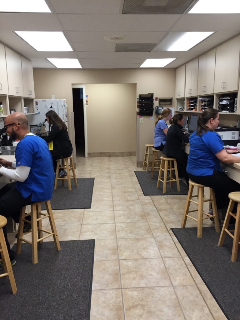 All Creatures - Florida Lab