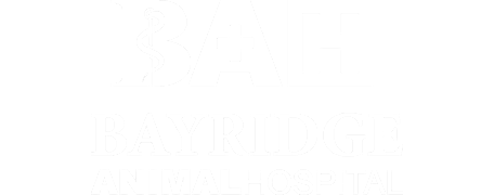 Bayridge Animal Hospital Logo Bayridge Animal Hospital Logo
