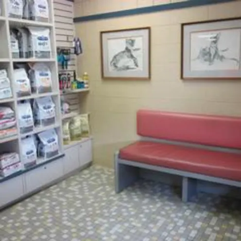  Florissant Animal Hospital Cat Waiting Room
