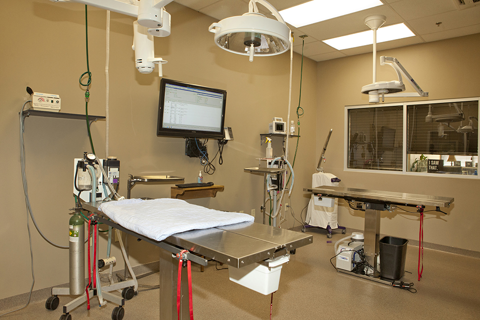 surgery room