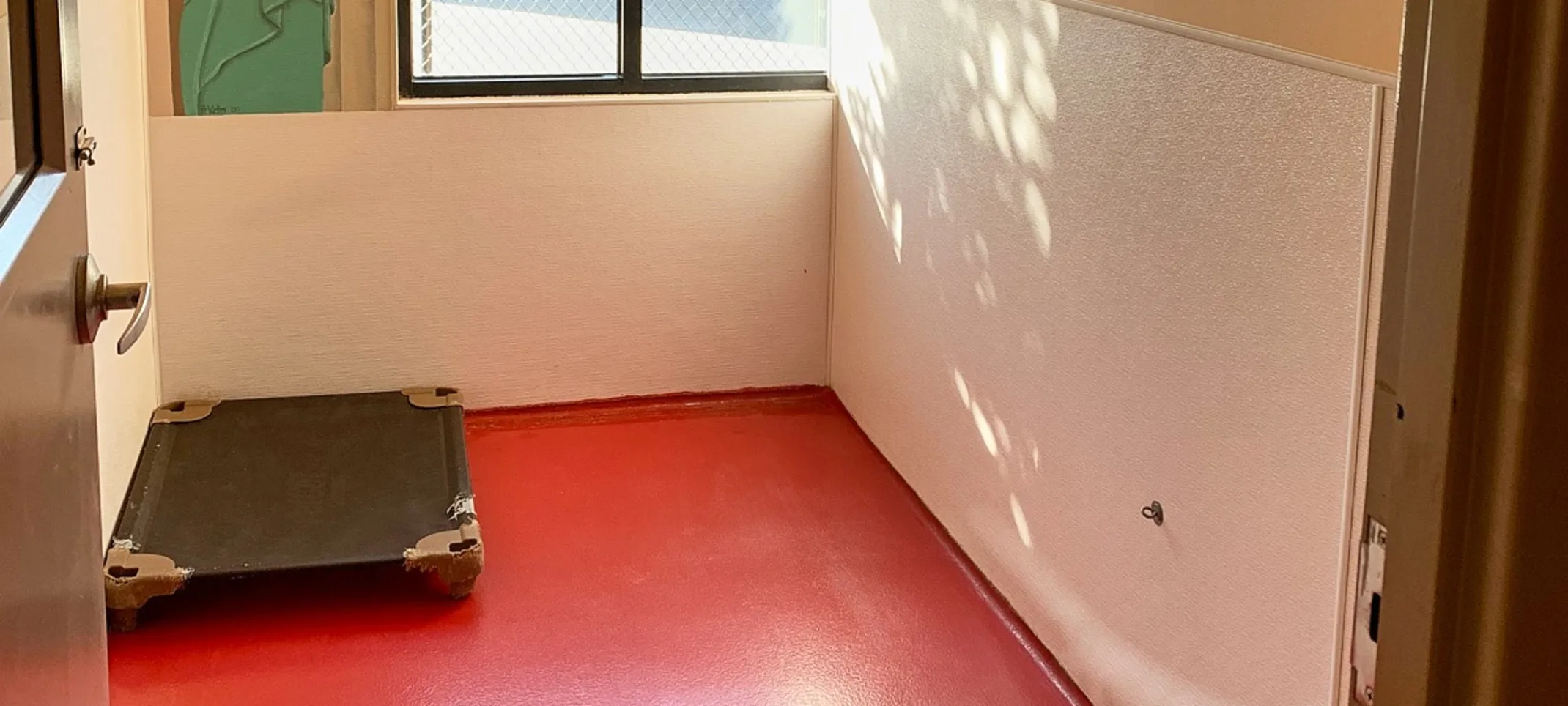 Boarding room at City Bark Boarding room at City Bark