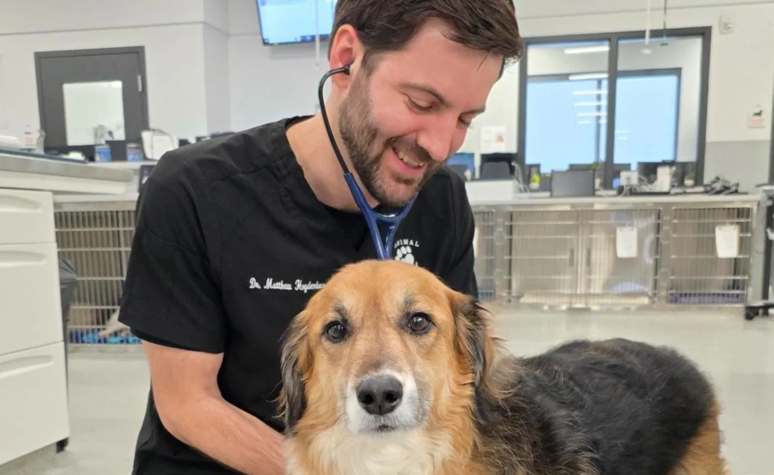Vet smiling while tending to a patient Vet smiling while tending to a patient