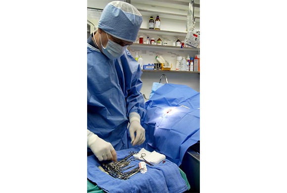 Here, Dr. Patton performs a minor surgical procedure.