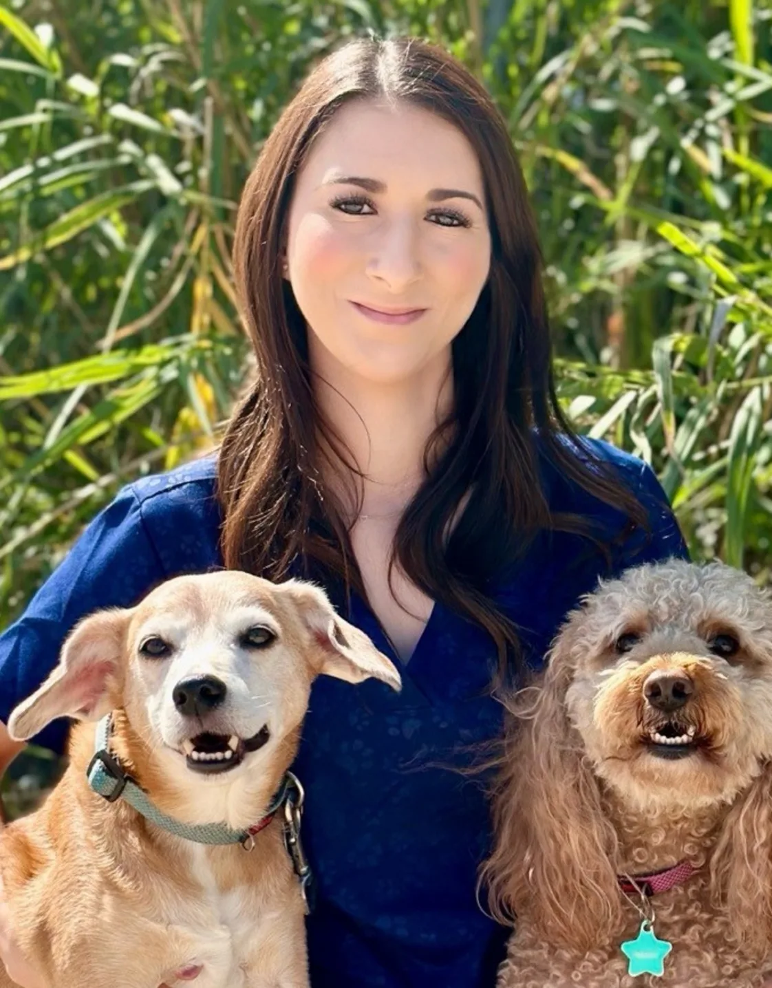 Meagan Hernandez of North 10th Street Animal Hospital Meagan Hernandez of North 10th Street Animal Hospital