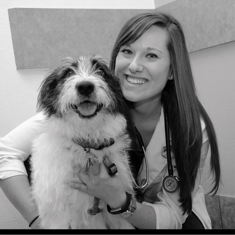 New Staff Member New Staff Member