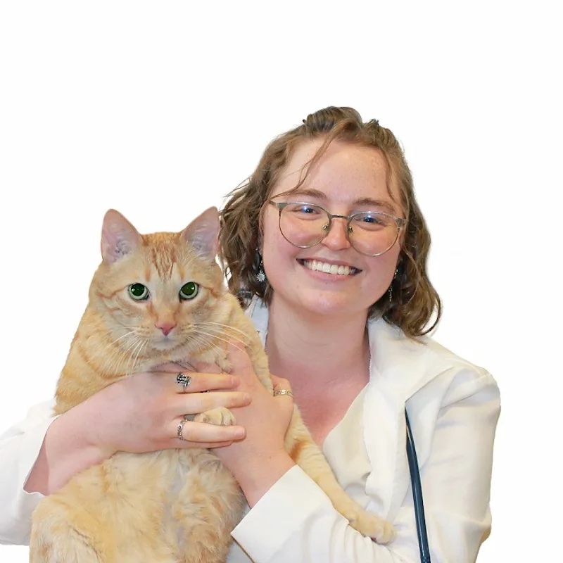 Dr. Courtney Trujillo Dr. Courtney Trujillo