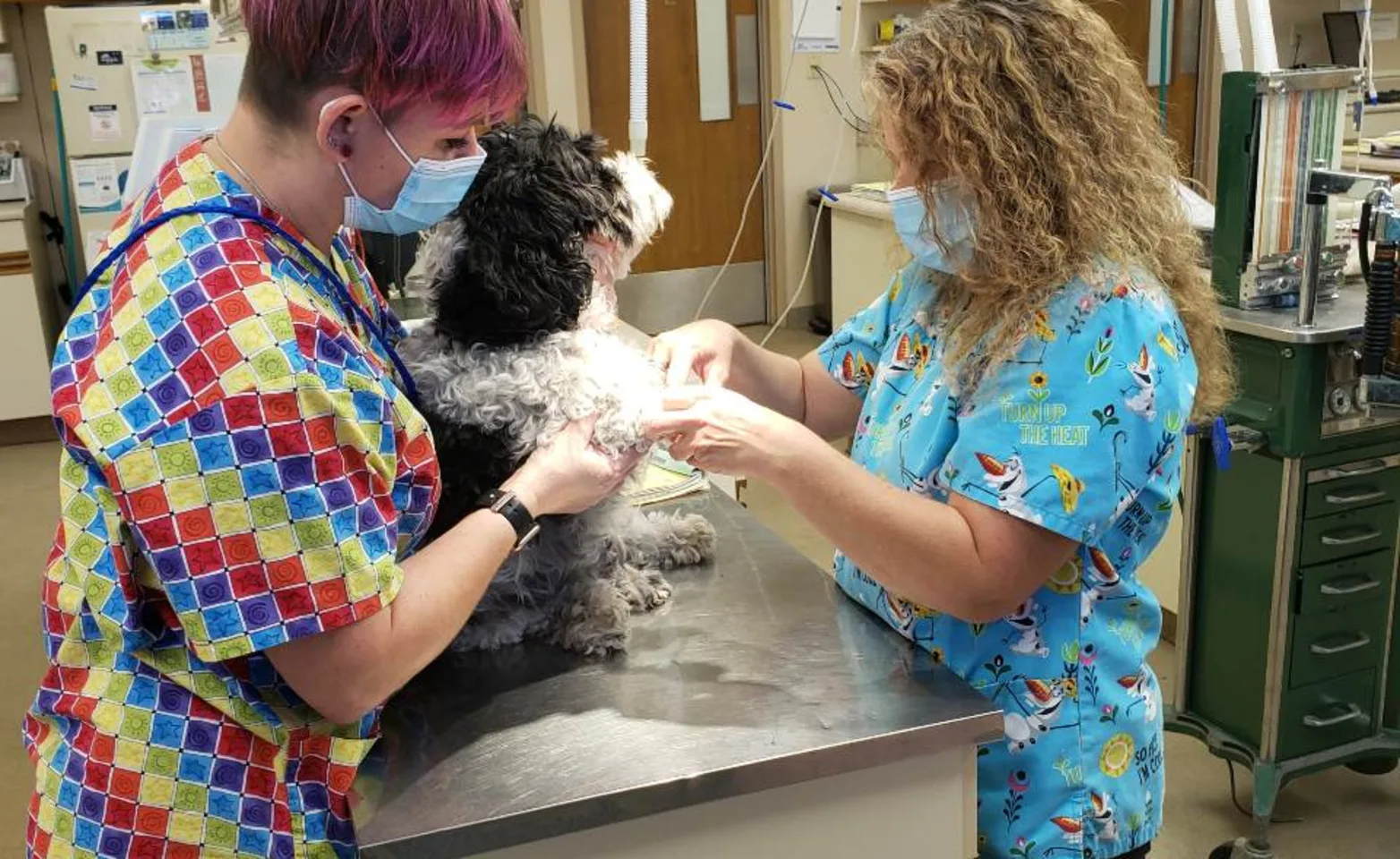 Natalie and Aubrey at Kettering Animal Hospital