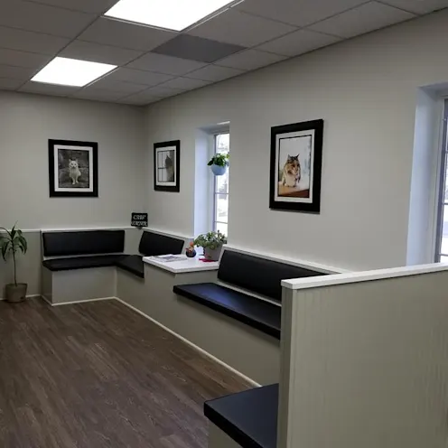 Sea Island Animal Hospital Lobby Sea Island Animal Hospital Lobby