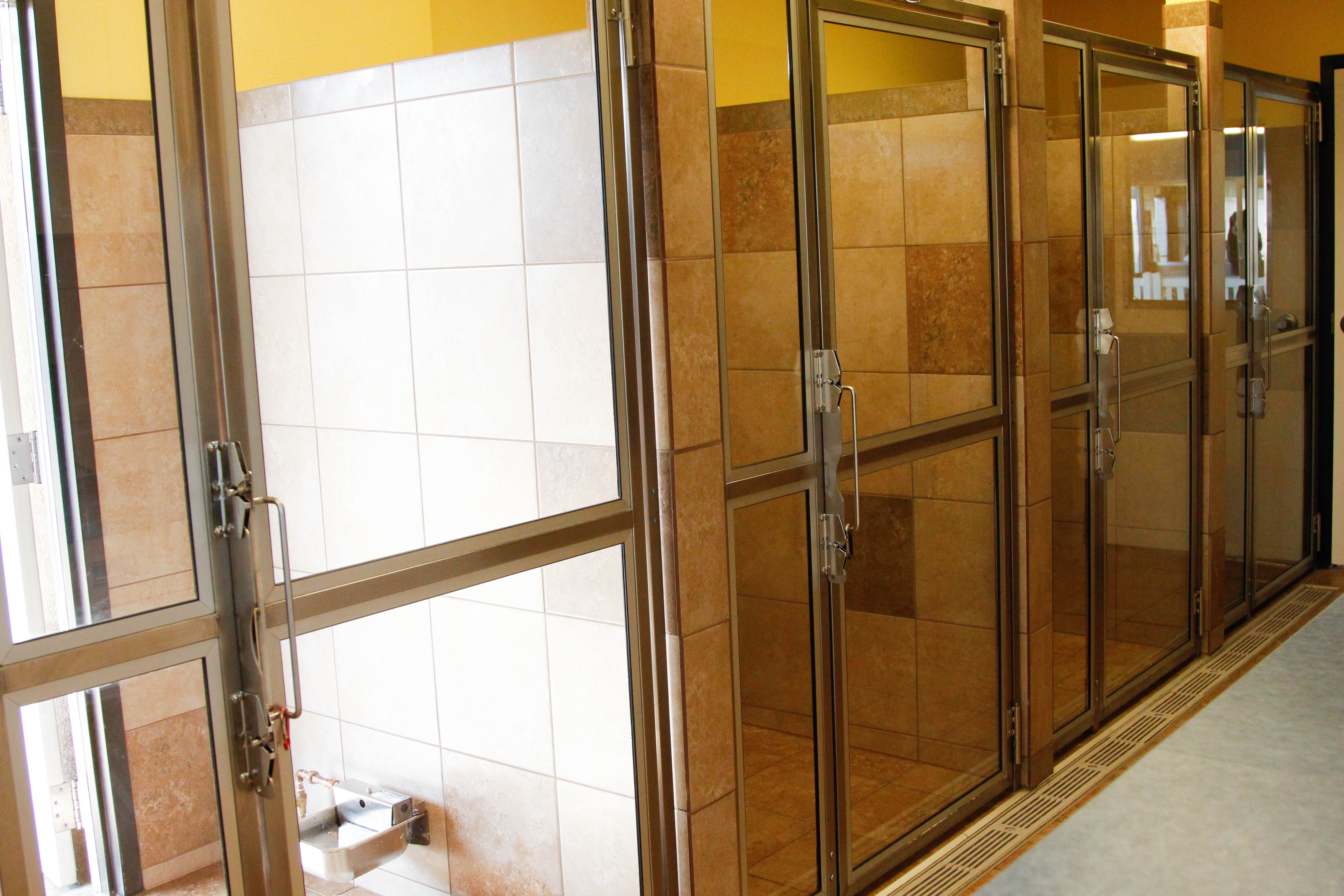 Advanced Animal Care of Colorado Canine Lodging