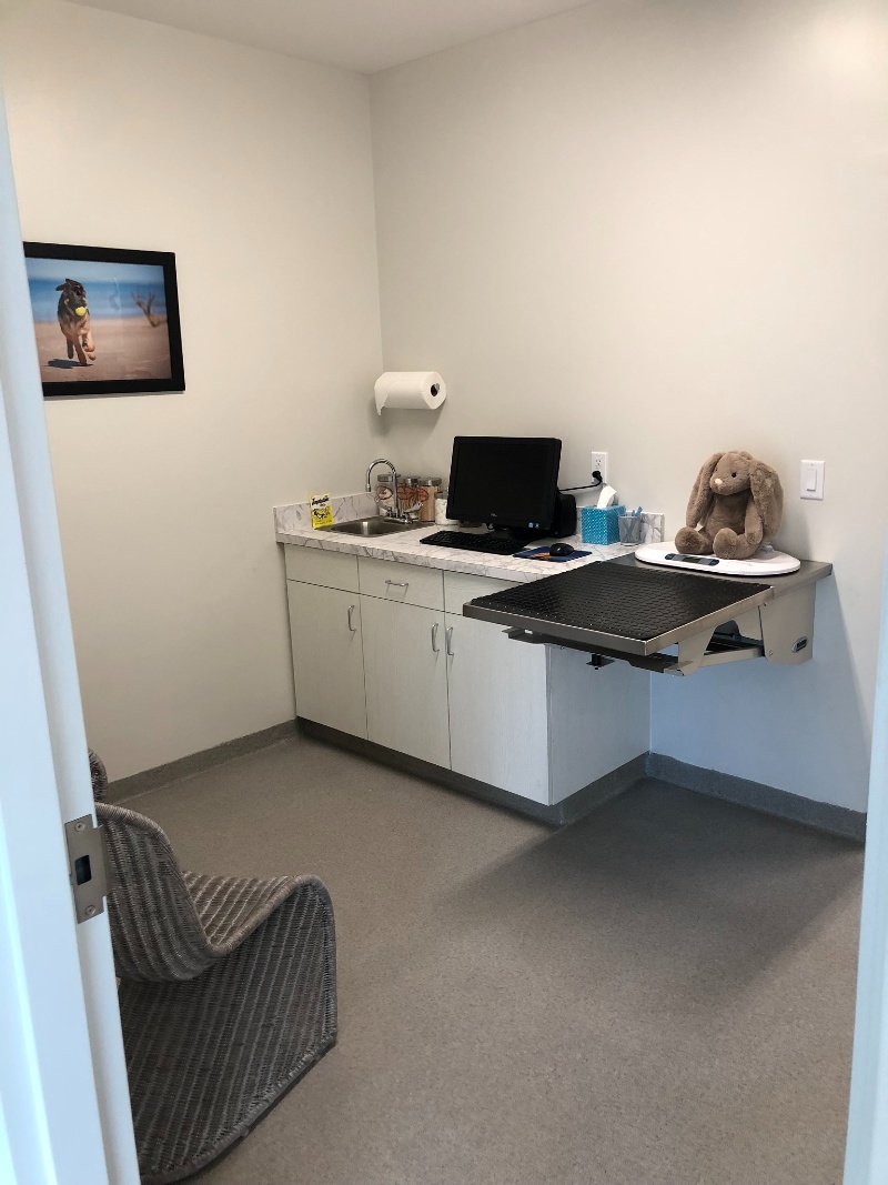 Exam room at Vero Beach Veterinary Hospital