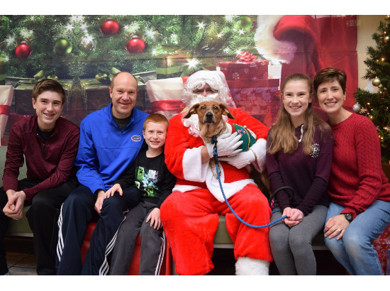 Staff Members & Family at a Christmas Event