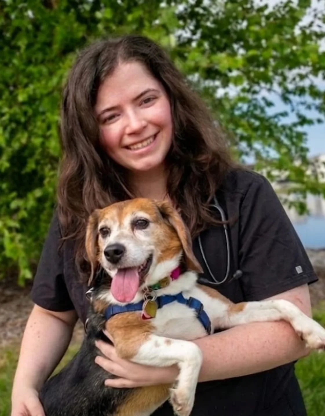 Dr. Britt Krinninger Dr. Britt Krinninger