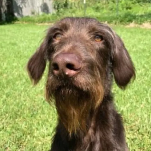 Woody Rabalais Woody Rabalais