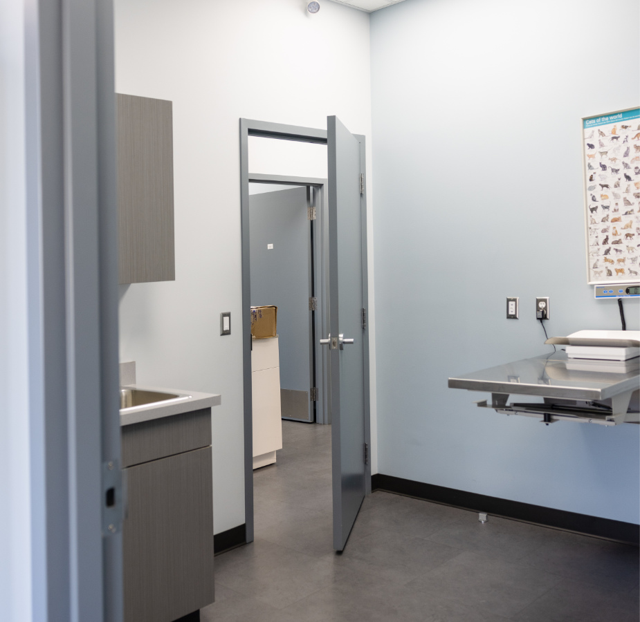 View into an exam room with exam table