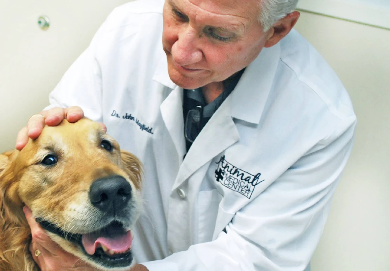 Dog with vet