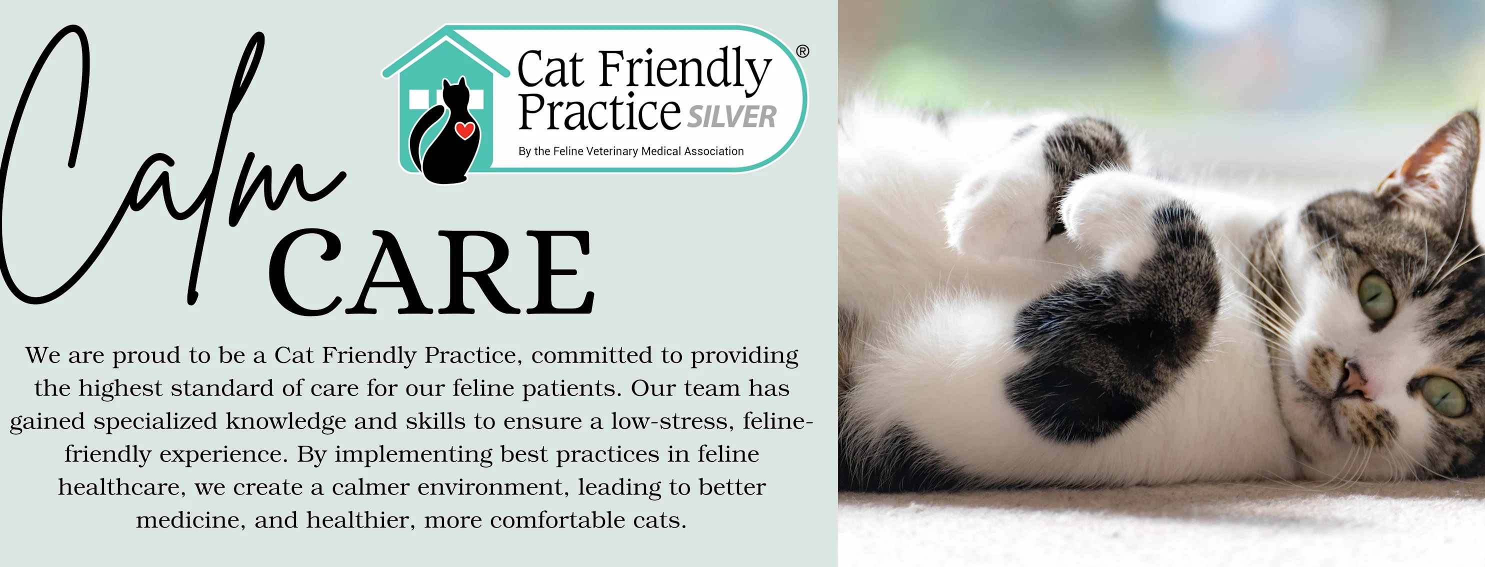 Calm Care Cat Friendly Practice Image Calm Care Cat Friendly Practice Image