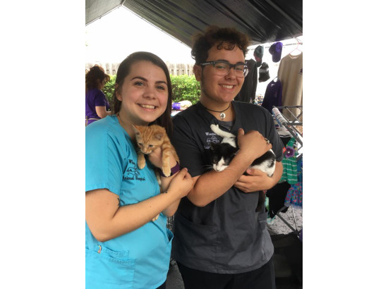 Two Staff Members Holding Cats
