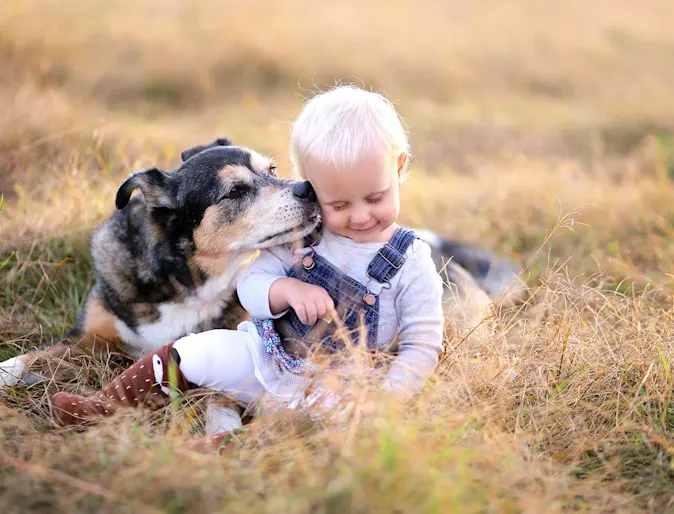 Dog licking kid in grass  Dog licking kid in grass