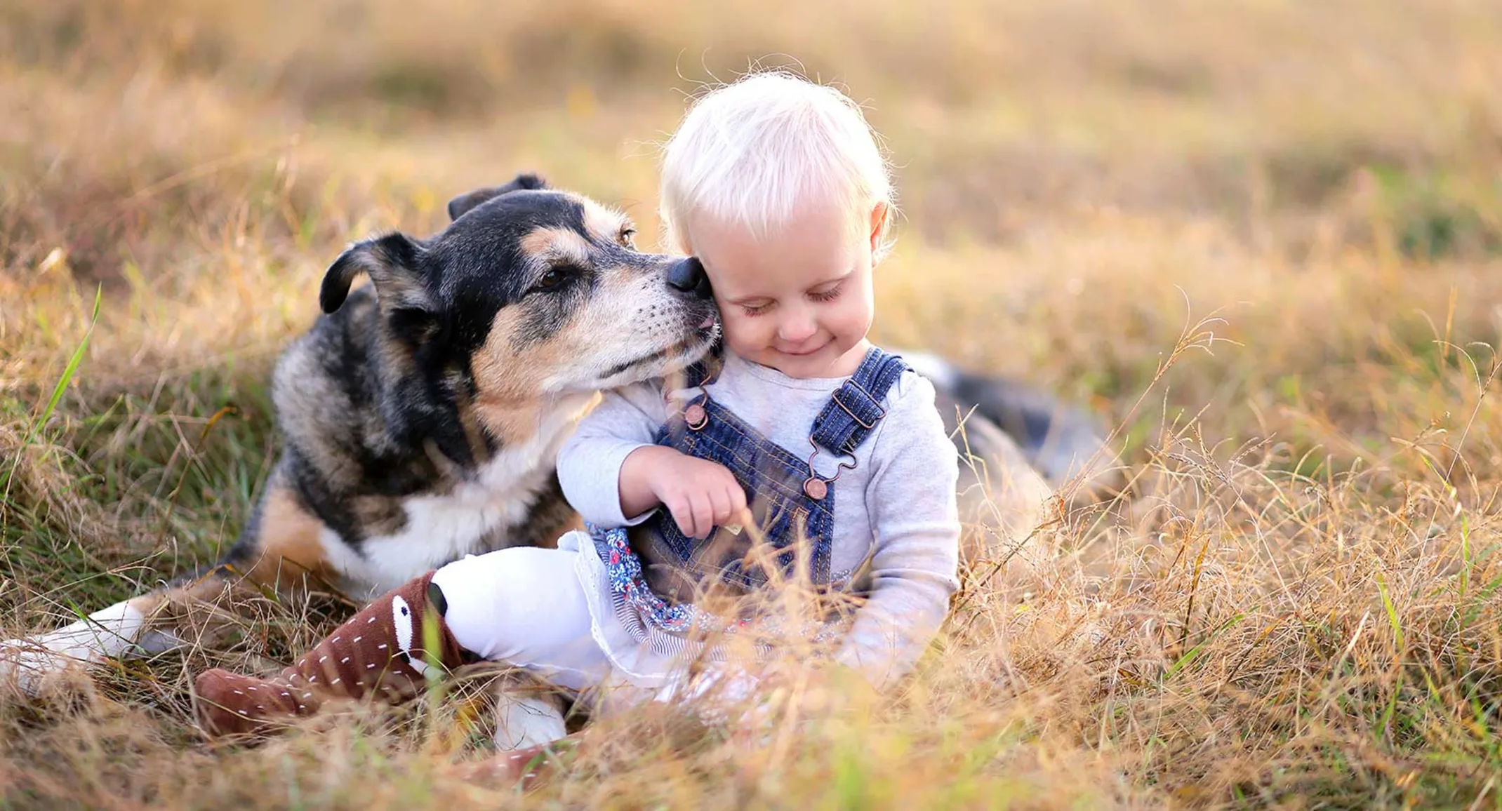  Dog licking kid in grass
