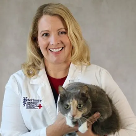 Dr. Amy Totten holding her brown cat for her staff photo.