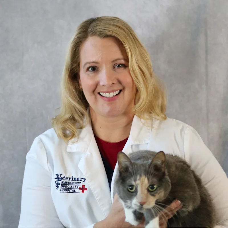 Dr. Amy Totten holding her brown cat for her staff photo. Dr. Amy Totten holding her brown cat for her staff photo.