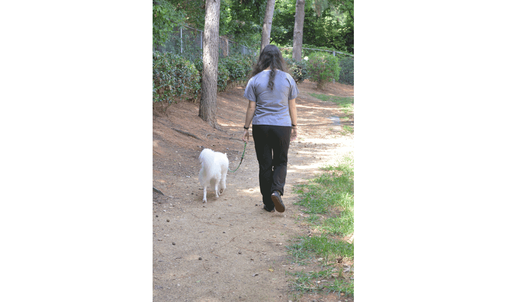 woman and dog walking