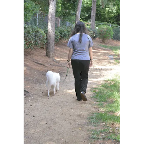 woman and dog walking woman and dog walking