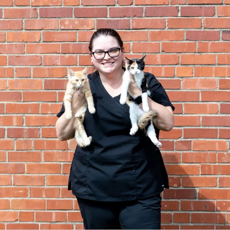 Alanna Weimer Alanna Weimer