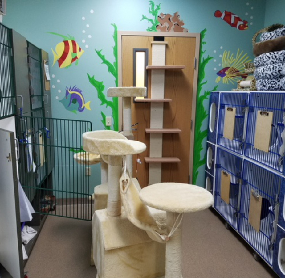 Aqua themed boarding room