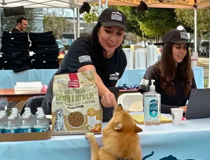 Caring for Our Los Angeles Community Through the Wildfires Caring for Our Los Angeles Community Through the Wildfires