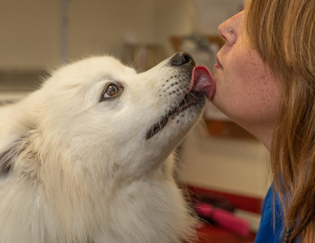 Staff Member at The Animalife Veterinary Center at Eagle Creek Receiving a Kiss from White Dog