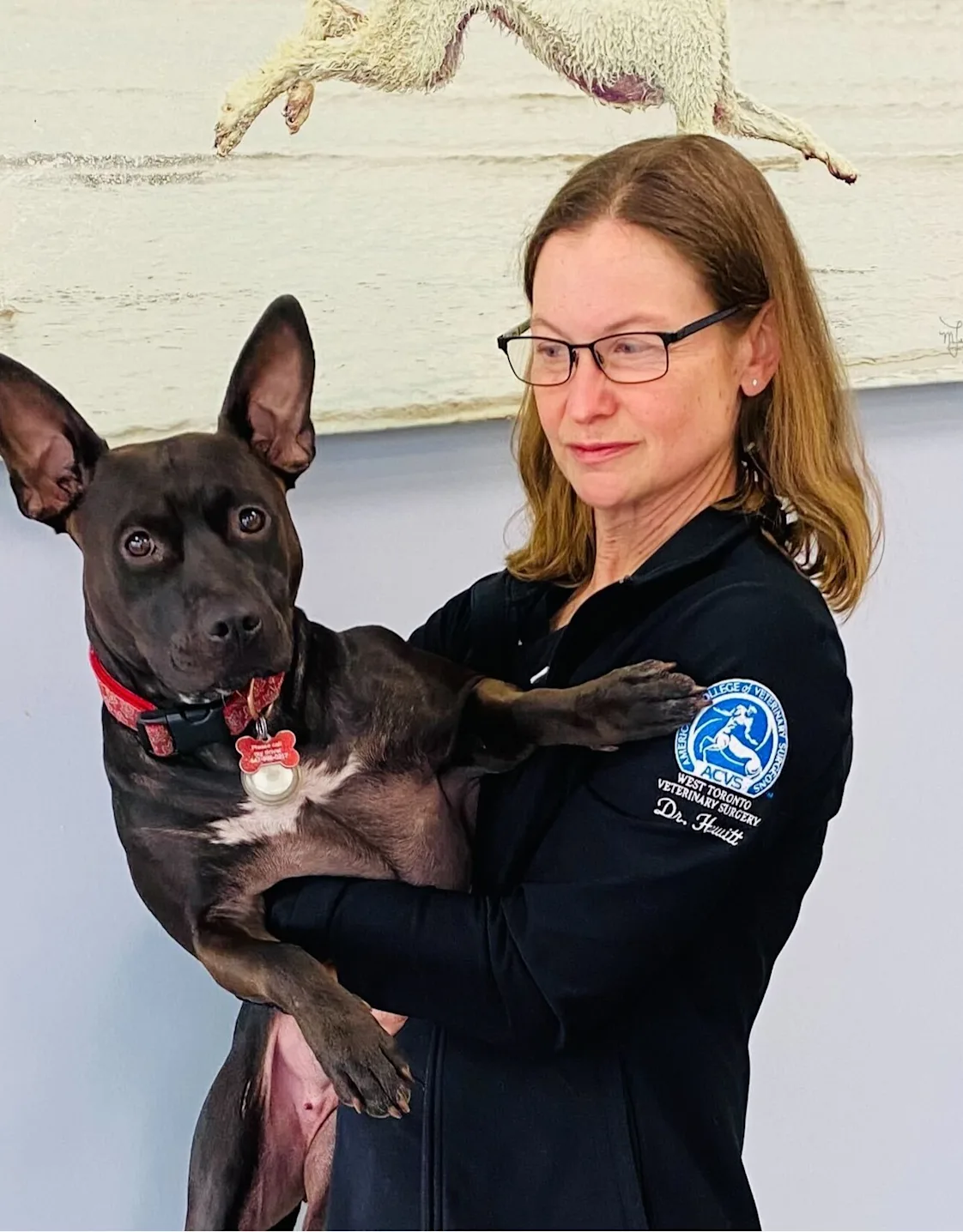 Dr. Saundra Hewitt at Veterinary Emergency and Referral Hospital of West Toronto Dr. Saundra Hewitt at Veterinary Emergency and Referral Hospital of West Toronto