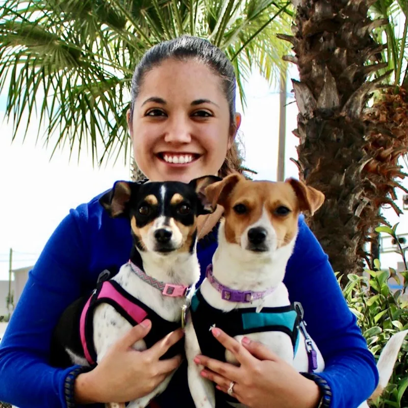 Dr. Chavez of North 10th Street Animal Hospital Dr. Chavez of North 10th Street Animal Hospital