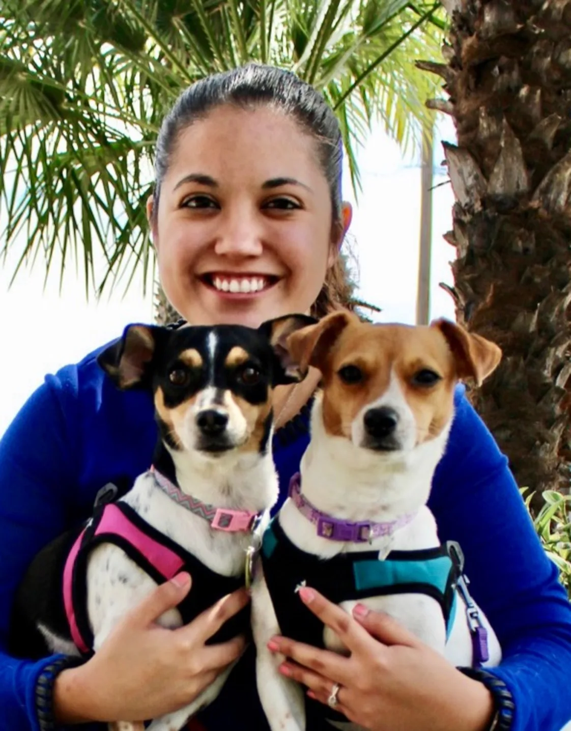 Dr. Chavez of North 10th Street Animal Hospital Dr. Chavez of North 10th Street Animal Hospital