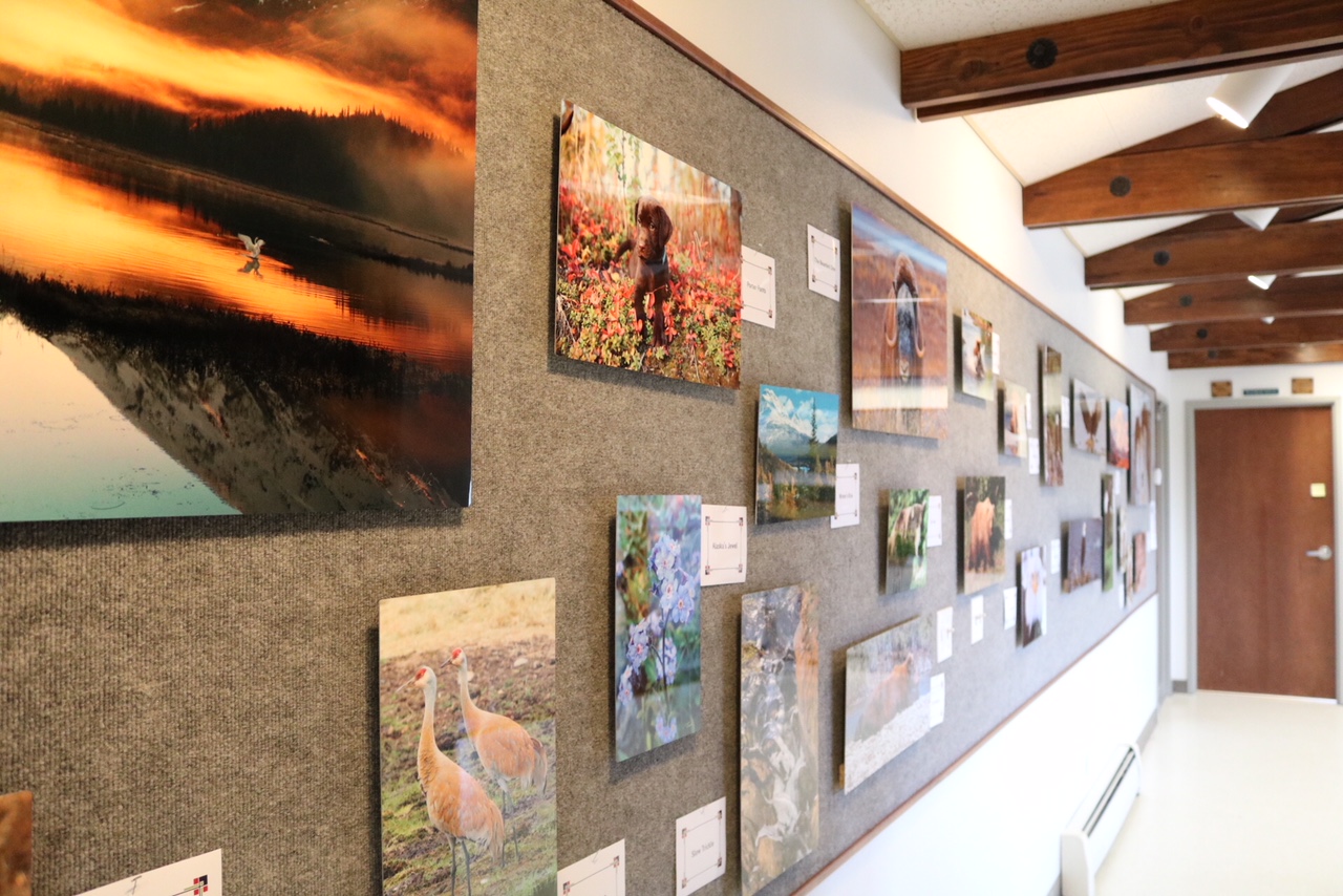 Gallery room at Soldotna Animal Hospital
