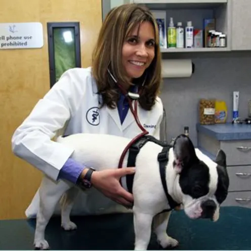 Valley Cottage Animal Hospital Dog Examination