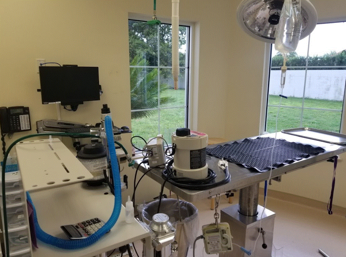 Chickasaw Trail Animal Hospital Surgery Room
