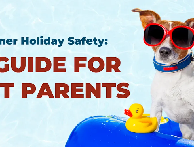 Summer safety blog with dog wearing sunglasses sitting on pool floatie Summer safety blog with dog wearing sunglasses sitting on pool floatie