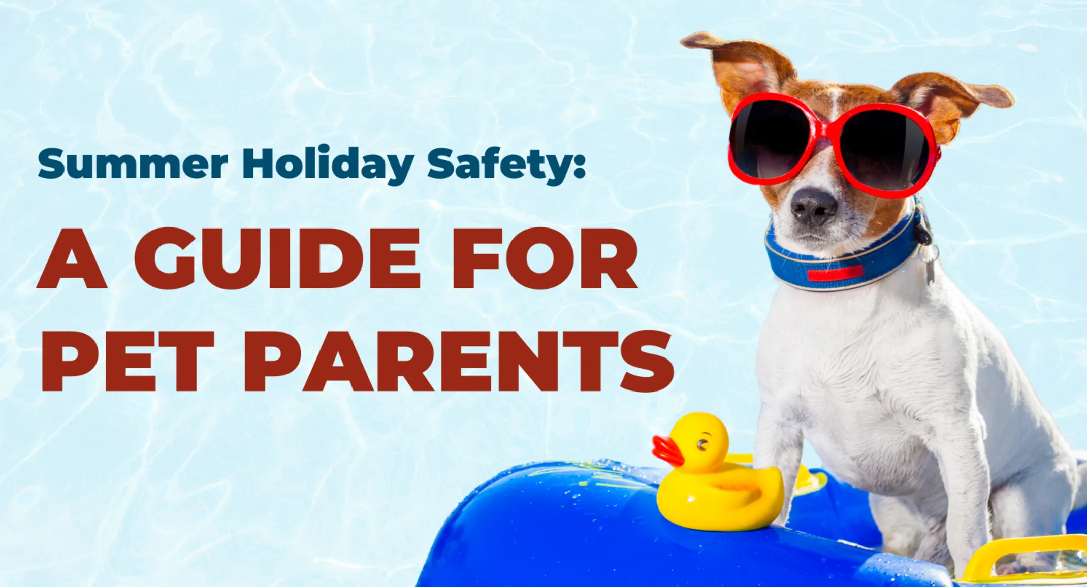 Summer safety blog with dog wearing sunglasses sitting on pool floatie Summer safety blog with dog wearing sunglasses sitting on pool floatie