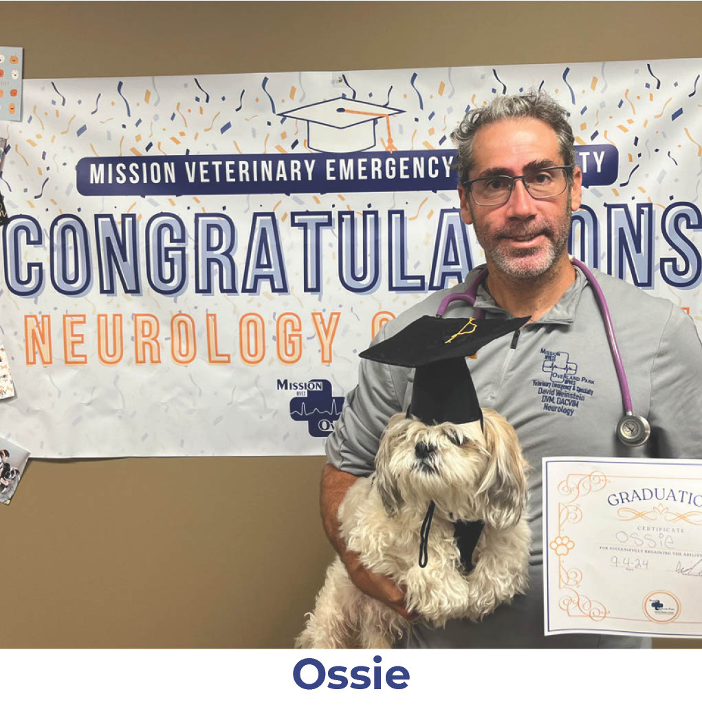 Ossie the dog with Neurology Graduate Hall of Fame certificate