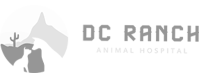 DC Ranch Animal Hospital Logo DC Ranch Animal Hospital Logo