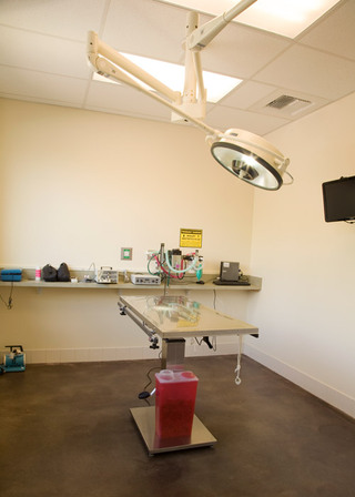 The Center for Bird and Exotic Medicine Surgery Room