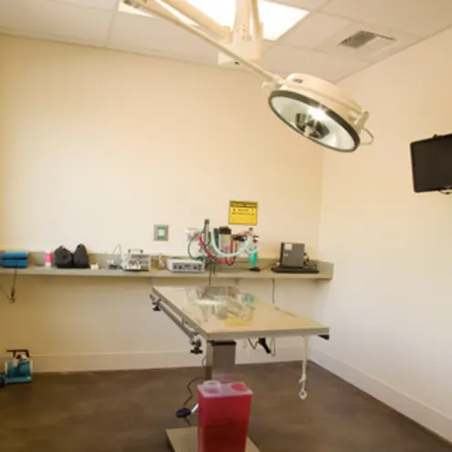 The Center for Bird and Exotic Medicine Surgery Room