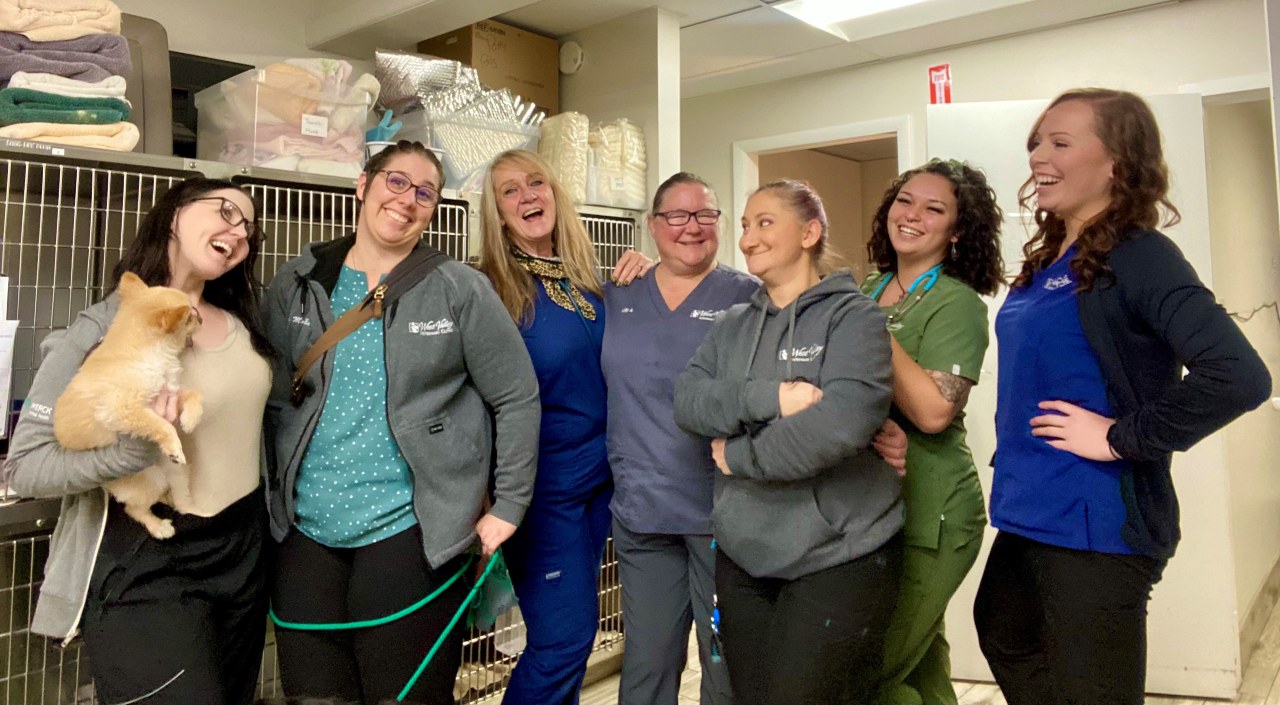 Group photo at West Valley Veterinary Clinic
