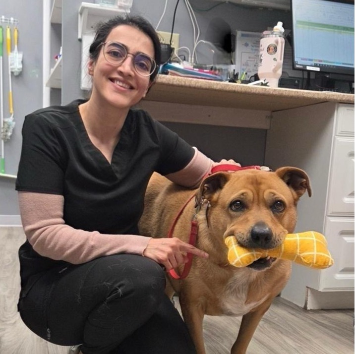 Dr. Fereshteh Safari