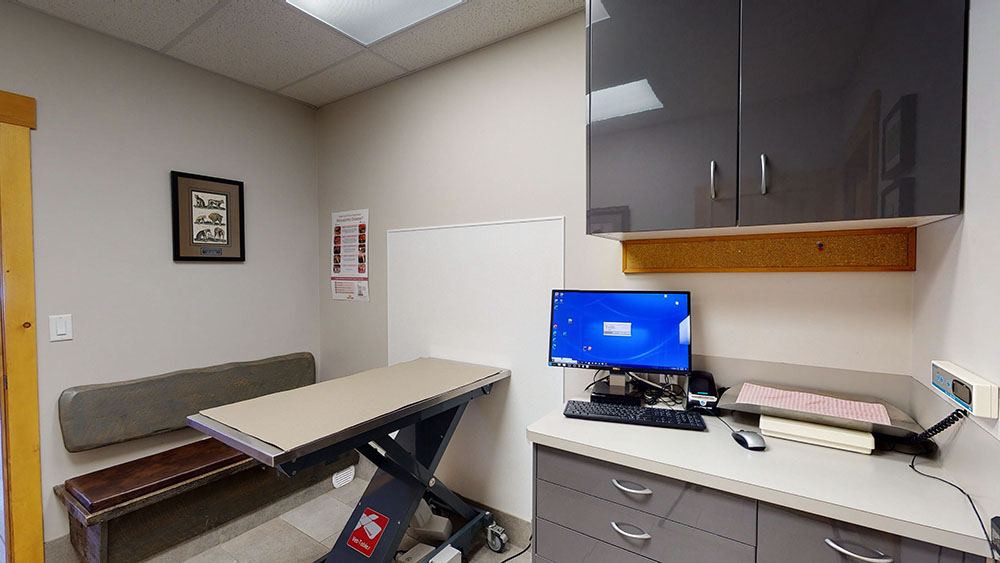 Room with portable exam table