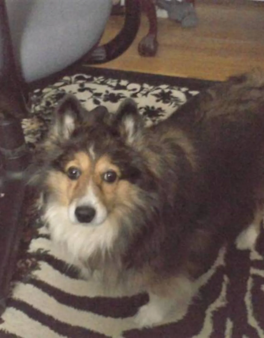 Alexis Rineair Alexis Rineair