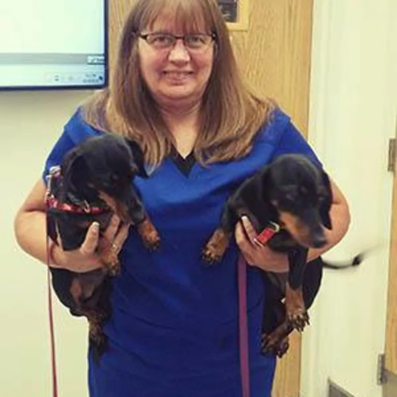Becky - Veterinary Assistant holding 2 black daschunds at Animal Care Clinic West & Metro Cat Hospital Becky - Veterinary Assistant holding 2 black daschunds at Animal Care Clinic West & Metro Cat Hospital